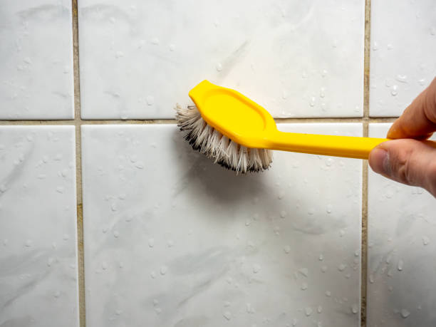 Professional Mold Removal in Arcadia, CA