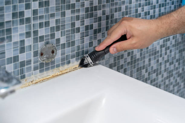 Best Office Mold Removal Services  in Ardia, CA