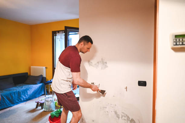 Best Black Mold Removal  in Ardia, CA